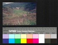 藏品(戶外)的圖片