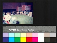 藏品(模型)的圖片