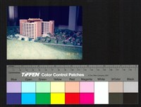 藏品(模型)的圖片