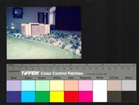 藏品(模型)的圖片