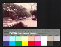 藏品(街道)的圖片