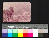 藏品(溪流)的圖片