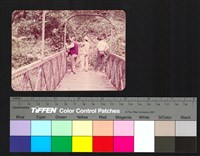 藏品(橋、人物側拍)的圖片