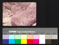 藏品(溪石)的圖片