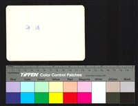 藏品(背面題字)的圖片