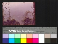 藏品(山)的圖片