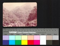 藏品(山谷)的圖片