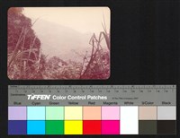 藏品(山)的圖片