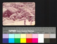 藏品(溪石、人物側拍)的圖片