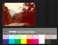 藏品(山)的圖片