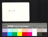 藏品(背面題字)的圖片