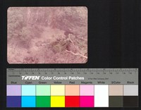 藏品(溪谷)的圖片