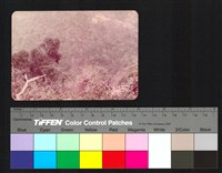 藏品(山)的圖片