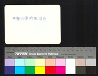 藏品(背面題字)的圖片