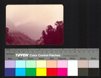 藏品(山)的圖片