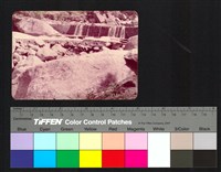 藏品(溪石)的圖片