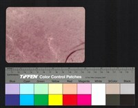 藏品(山)的圖片