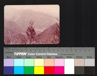 藏品(溪谷)的圖片