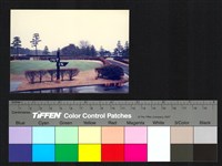 藏品(車道指示)的圖片