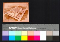 藏品(透視圖)的圖片