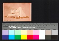 藏品(透視圖)的圖片