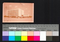 藏品(透視圖)的圖片