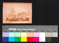 藏品(透視圖)的圖片