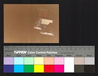 藏品(建築)的圖片