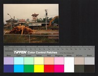 藏品(建築)的圖片