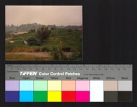 藏品(基地環境)的圖片