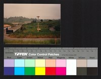 藏品(路邊)的圖片