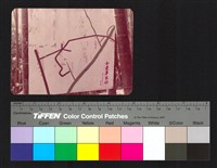 藏品(地圖)的圖片