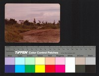 藏品(空地)的圖片