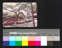 藏品(路邊)的圖片