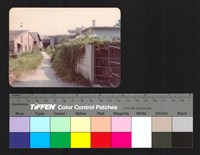 藏品(路邊)的圖片