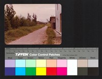 藏品(路邊)的圖片