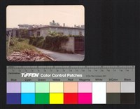 藏品(路邊)的圖片