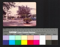 藏品(路邊)的圖片