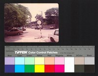 藏品(路邊)的圖片