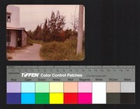 藏品(路邊)的圖片