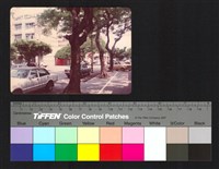 藏品(路邊)的圖片