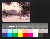 藏品(路邊)的圖片