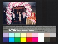 藏品(婚禮)的圖片