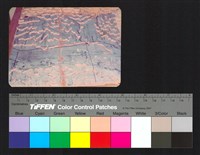 藏品(環境模)的圖片