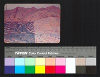 藏品(環境模)的圖片