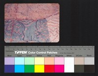 藏品(環境模)的圖片