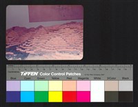 藏品(環境模)的圖片