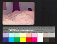 藏品(環境模)的圖片