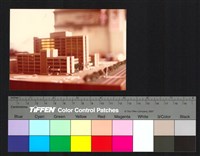 藏品(模型)的圖片