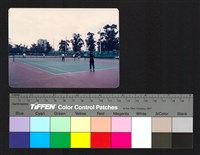 藏品(室外運動場)的圖片